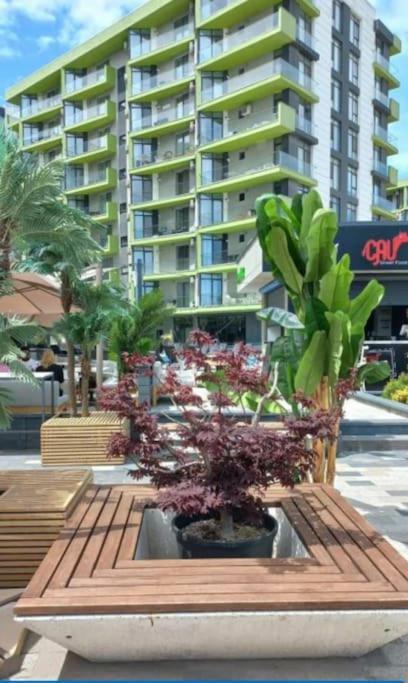 Alezzy Reasort Luxury Apartment 81 Prima Linie La Mare Нэводари Экстерьер фото